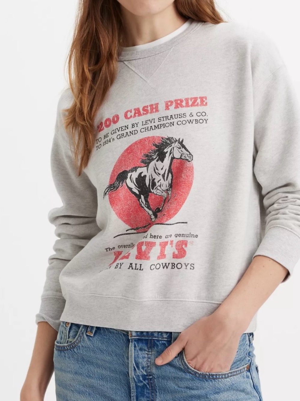 Levi's Graphic Crewneck Sweatshirt